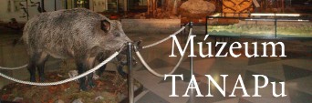 ubytovanie tatry muzeum